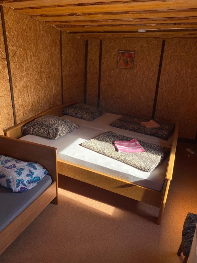 Viesu Maja Arnicani Ragaciems Eksteriør bilde